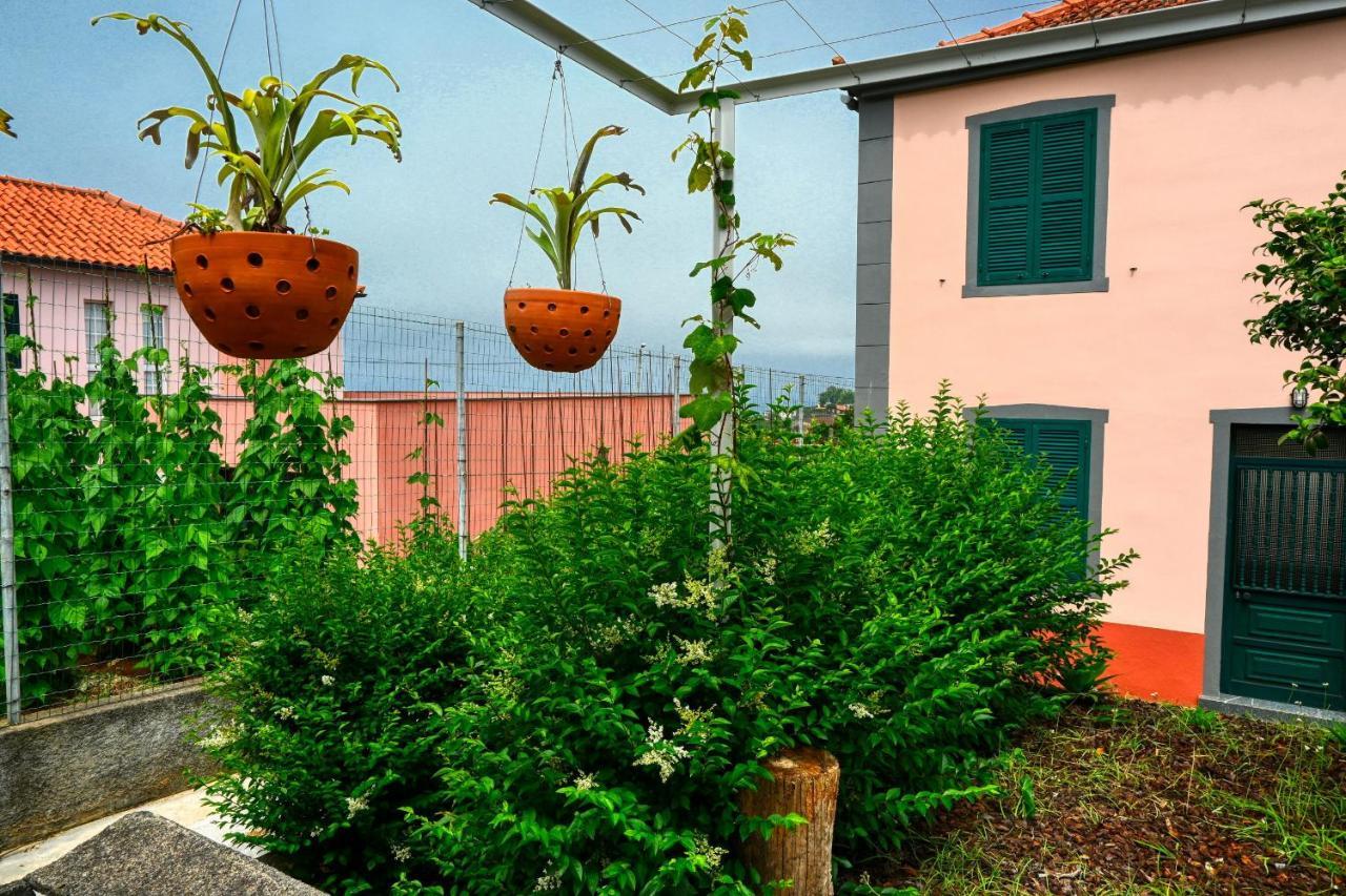 Os Ferreirinhos, A Home In Madeira São Jorge Dış mekan fotoğraf