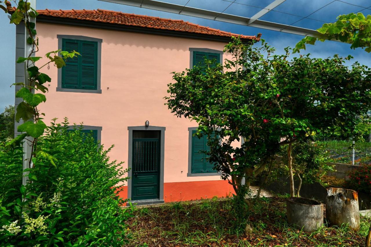 Os Ferreirinhos, A Home In Madeira São Jorge Dış mekan fotoğraf